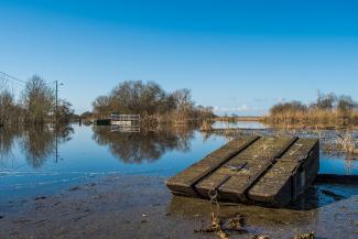 Point de vue sur le lac de Grand Lieu Passay