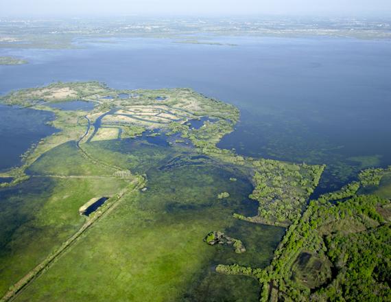 lac de Grand Lieu