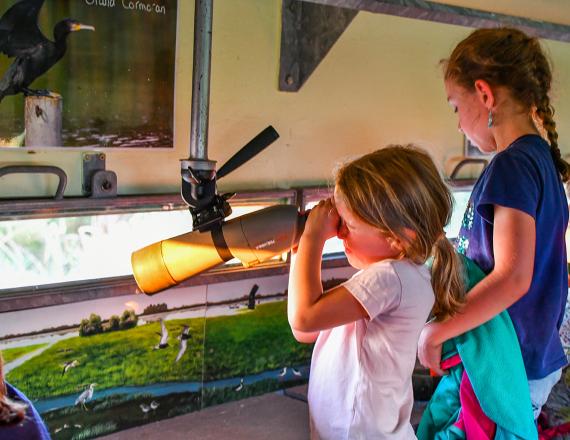 Observatoire ornithologique du Lac de Grand Lieu sortie scolaire