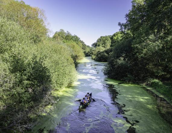 Canoê Halte nature