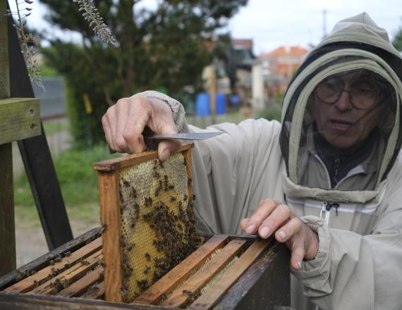 Michel Louviot apiculteur